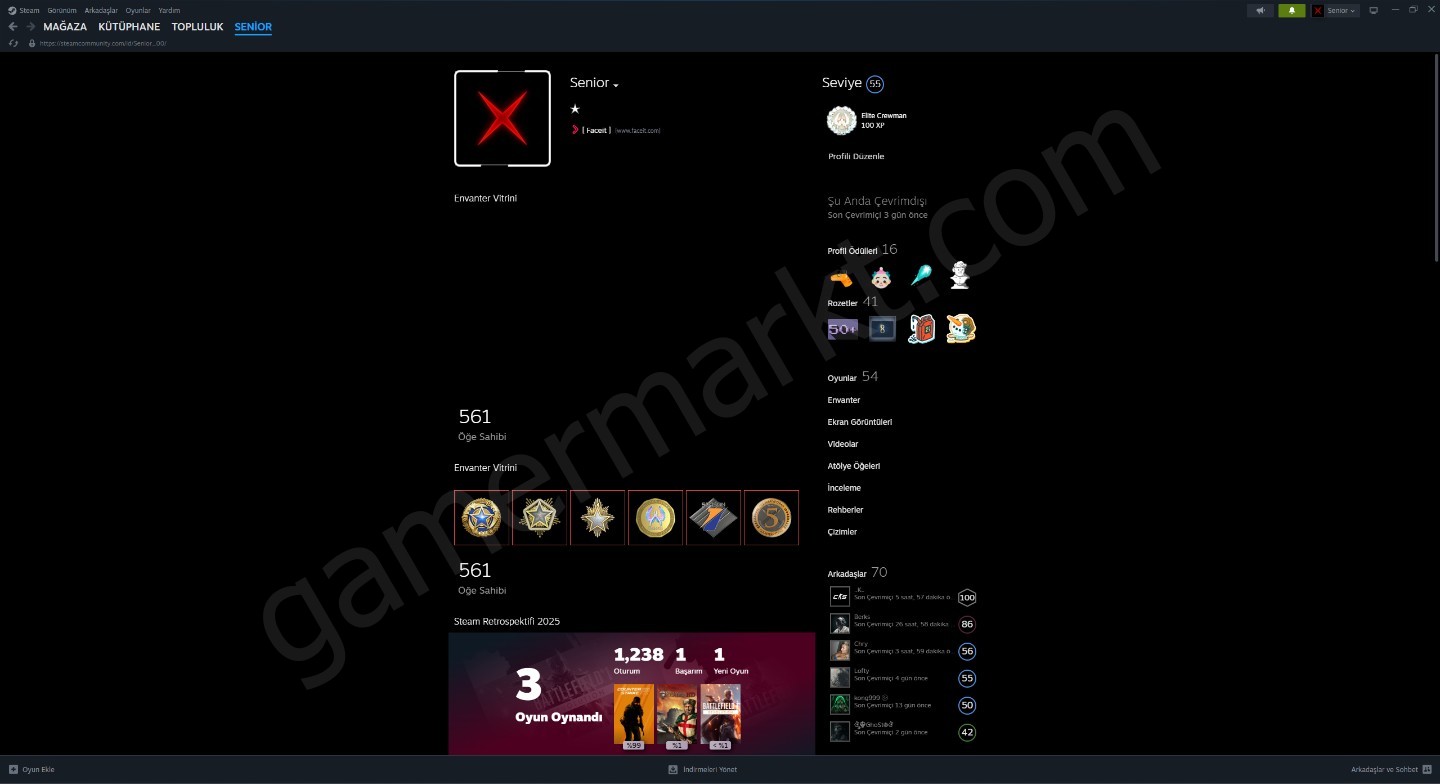 Yıllardır Kullandığım Şahsi Steam Hesabım (#1143914)