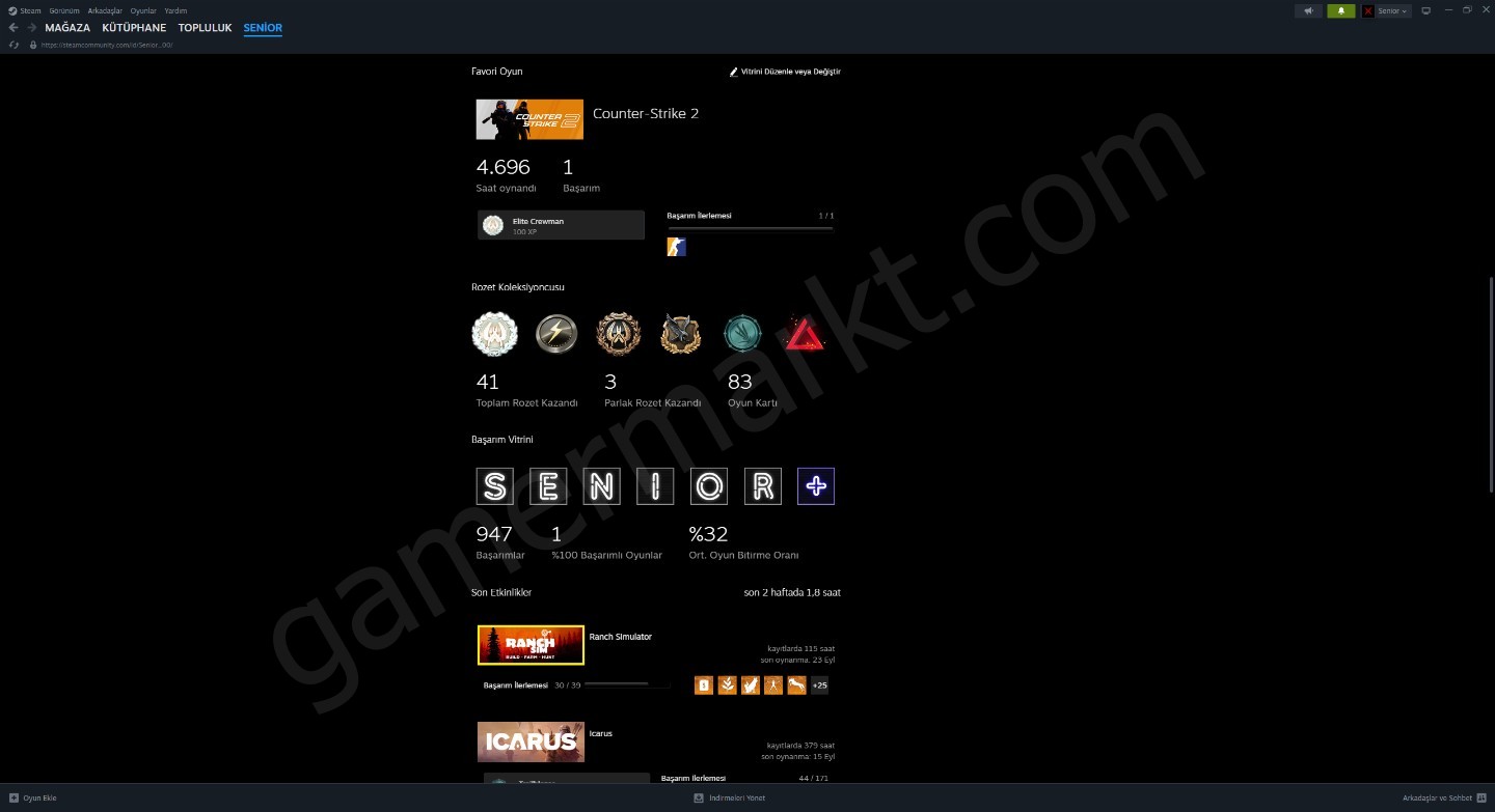 Yıllardır Kullandığım Şahsi Steam Hesabım (#1143914)