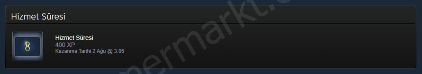 Yıllardır Kullandığım Şahsi Steam Hesabım (#1143914)