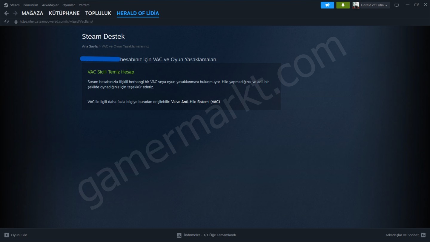 Steam Hesabı — RDR2, Cyberpunk 2077, God of War, Hogwarts Legacy (#1146346)
