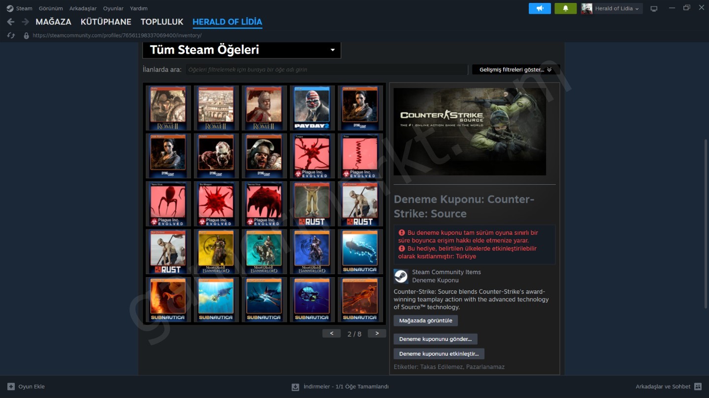 Steam Hesabı — RDR2, Cyberpunk 2077, God of War, Hogwarts Legacy (#1146346)