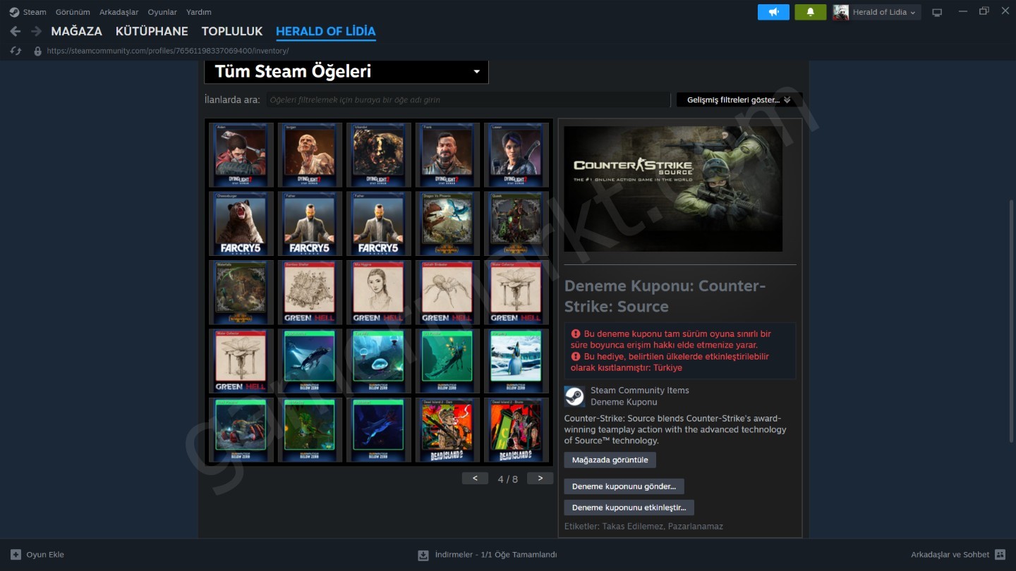 Steam Hesabı — RDR2, Cyberpunk 2077, God of War, Hogwarts Legacy (#1146346)