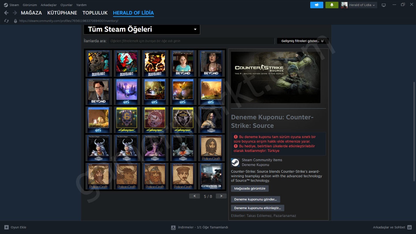 Steam Hesabı — RDR2, Cyberpunk 2077, God of War, Hogwarts Legacy (#1146346)