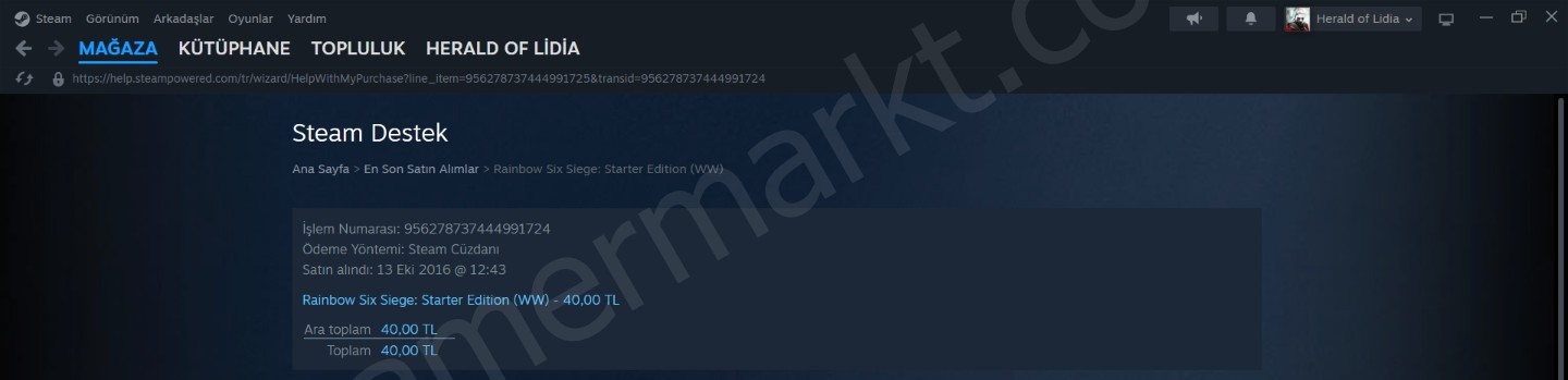 Steam Hesabı — RDR2, Cyberpunk 2077, God of War, Hogwarts Legacy (#1146346)
