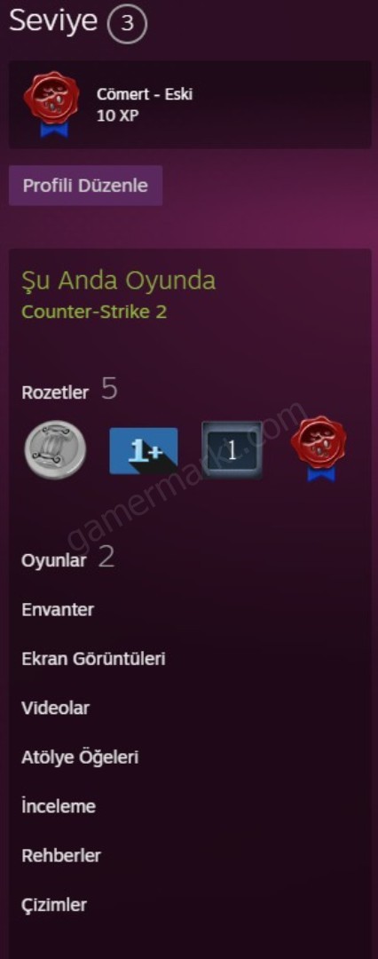 1 ROZET + SEÇKİN + 150 SAAT ELLE KASILMIŞ CS2 HESAP (#1150961)