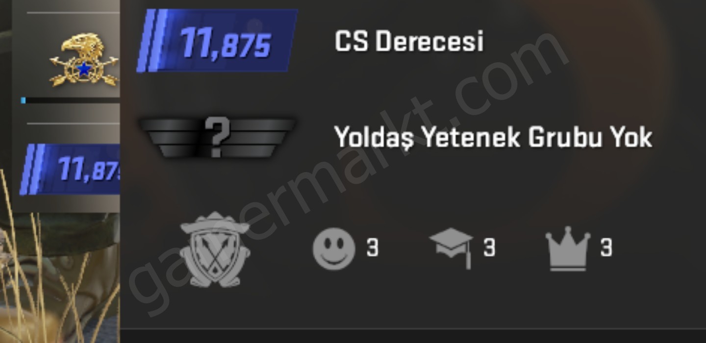 CS2 SEÇKİN KASA DROBUNA HAZIR + 12000 PUAN 7-8 YIL (#1152010)