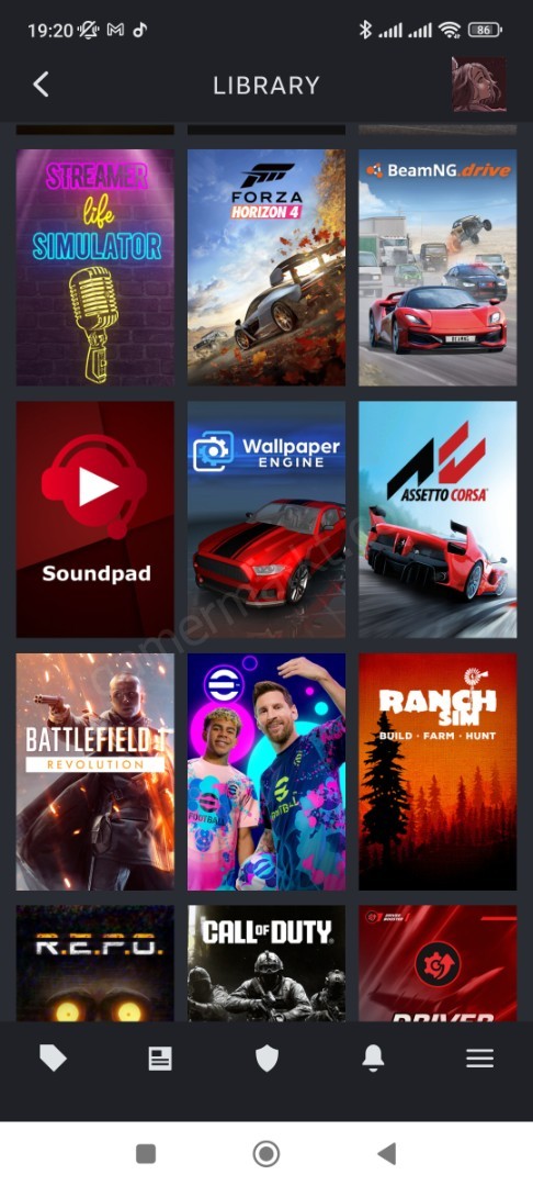 Acil satılık Steam hesabı (#1152077)