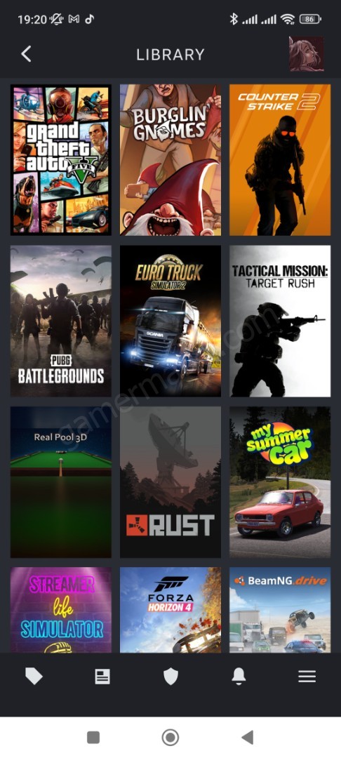 Acil satılık Steam hesabı (#1152077)