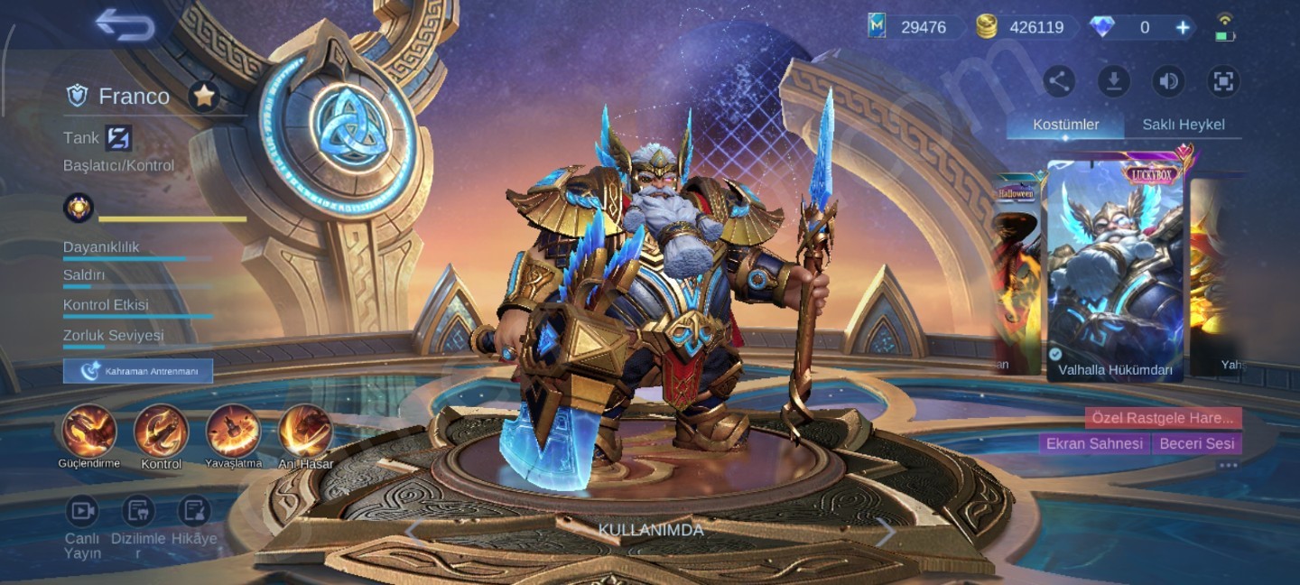 325 Kostüm+400binGold+ 130 Hero+30 k kitap (#1152805)