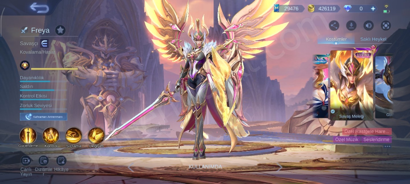 325 Kostüm+400binGold+ 130 Hero+30 k kitap (#1152805)