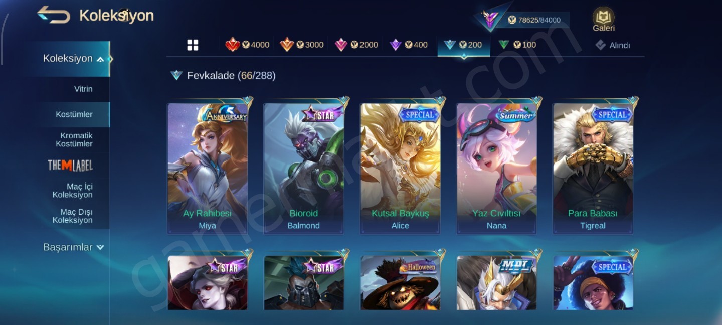 325 Kostüm+400binGold+ 130 Hero+30 k kitap (#1152805)
