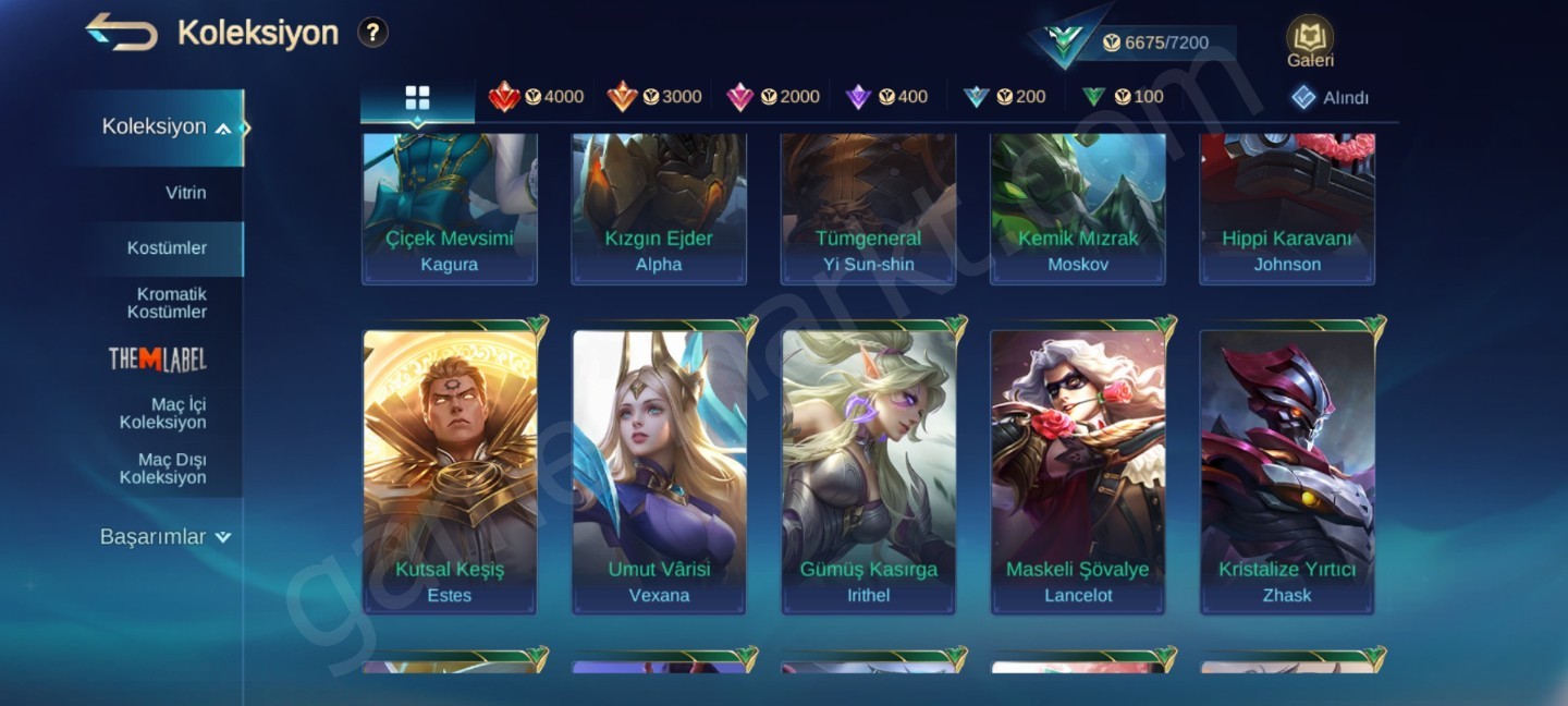 45 Skin Kelepir Hesap (#1152824)
