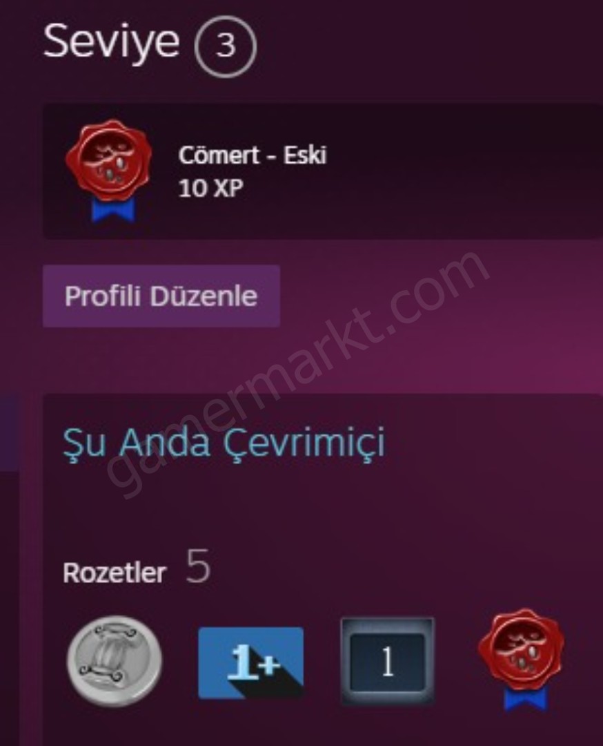 1 ROZETLİ SEÇKİN CS2 HESAP (#1153081)