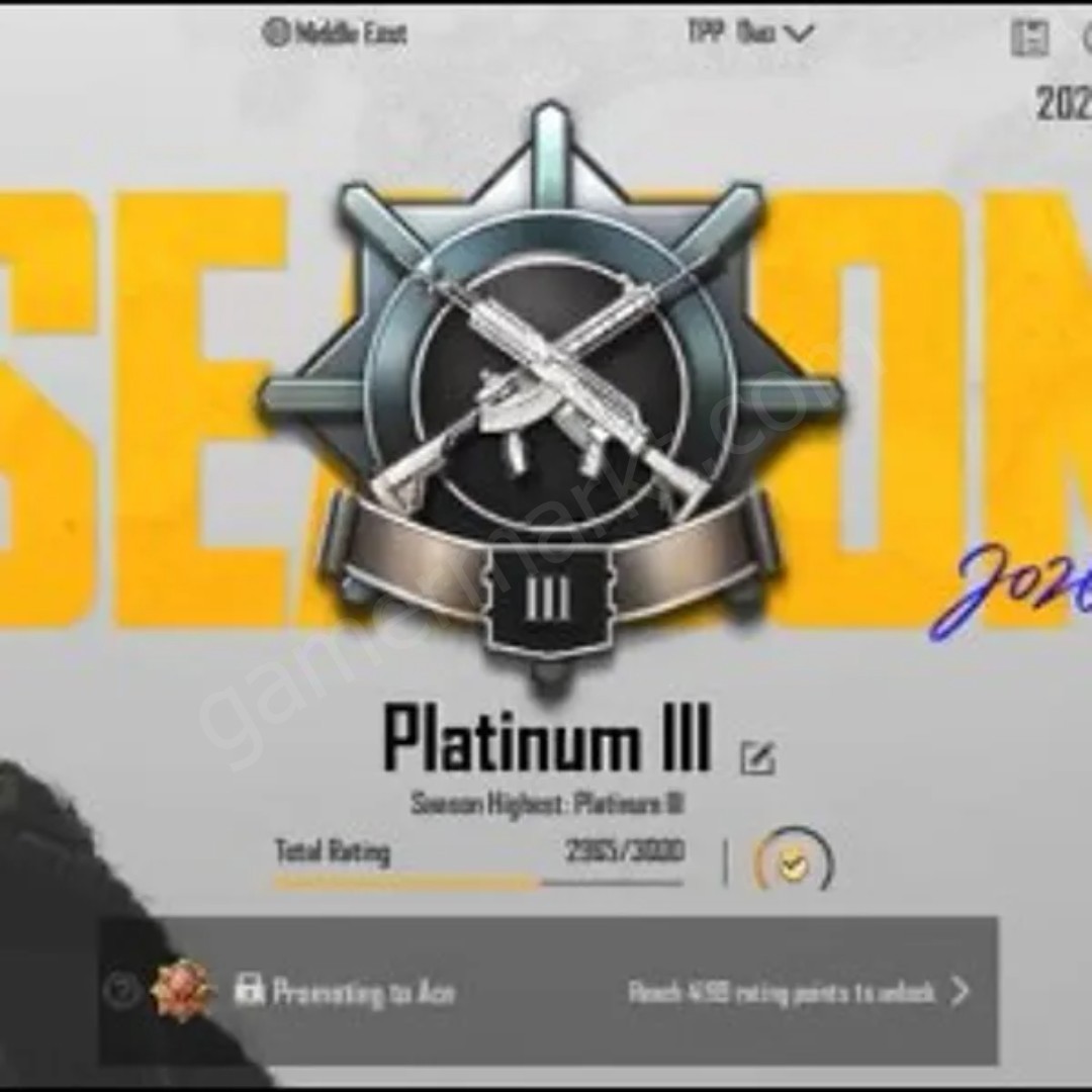 PLATINUM 3 Rank | DUO | Middle East Server | Level 25+ | Current Season | Email Login - Rename avail (#1153617)